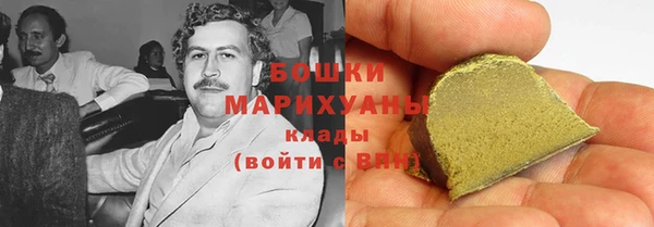 прущие грибы Навашино