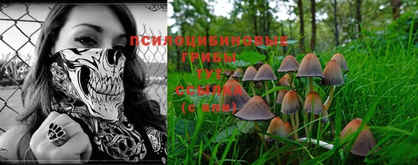 прущие грибы Навашино
