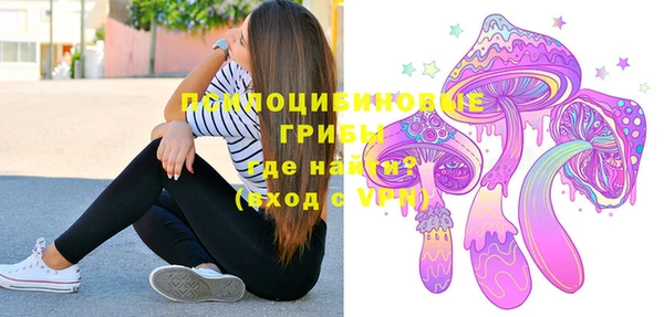 трава Надым