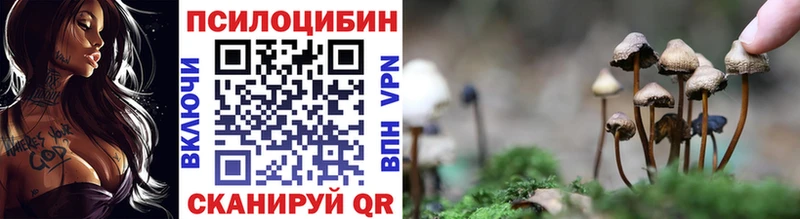 купить наркоту  Новопавловск  Псилоцибиновые грибы ЛСД 